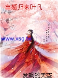棄婿歸來葉凡