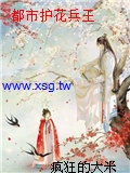 都市護花兵王