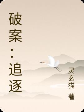 破案：追逐