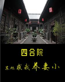 四合院東旭求我養妻小