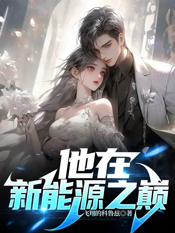 他在新能源之巔