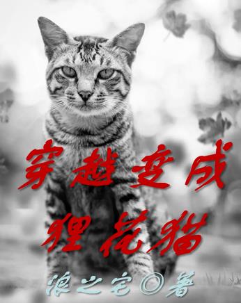 穿越變成狸花貓