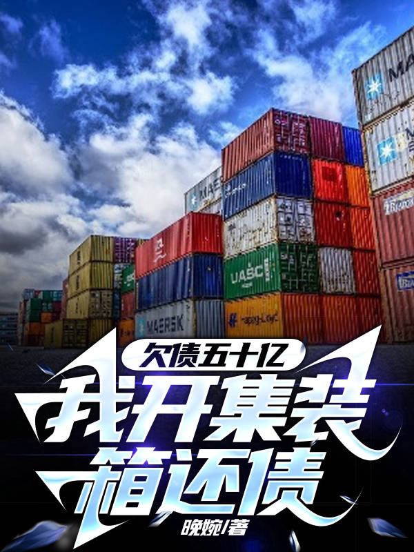 欠債五十億，我開集裝箱還債