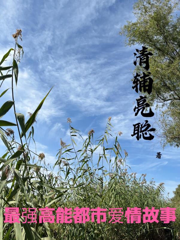 最強高能都市愛情故事