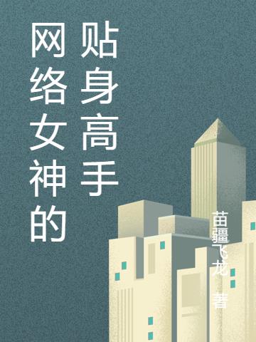 網絡女神的貼身高手