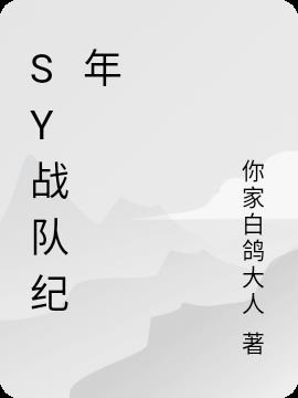 sy戰隊紀年