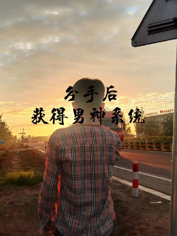 分手後獲得男神係統