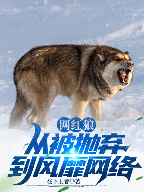網紅狼，從被拋棄到風靡網絡