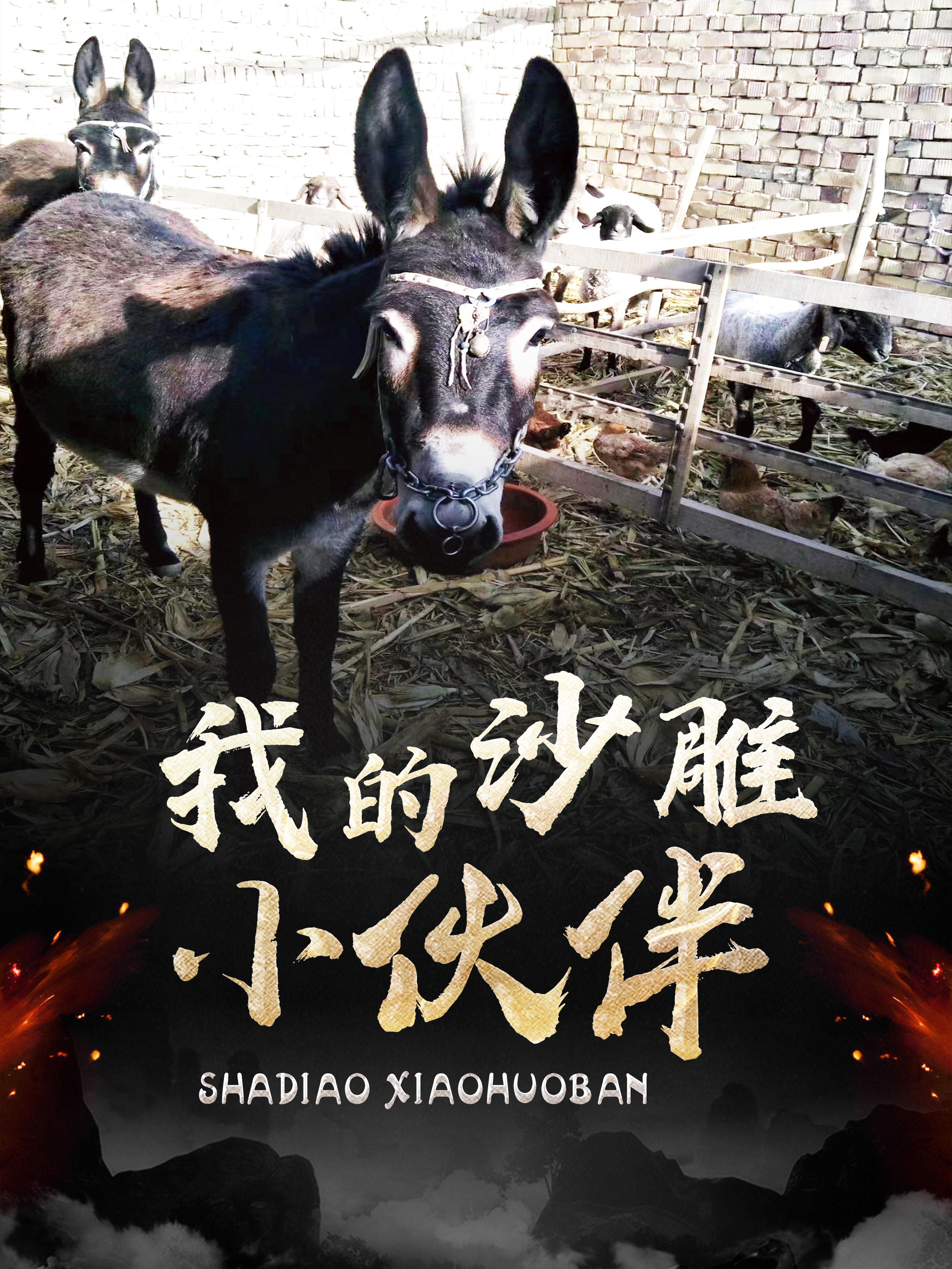 我的沙雕小夥伴