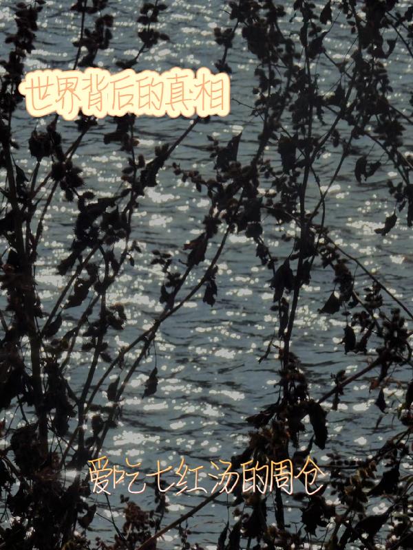 世界背後的真相