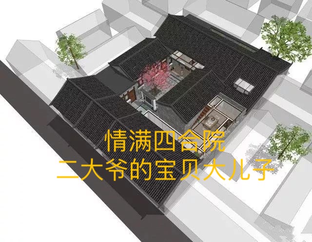 四合院：二大爺的寶貝大兒子