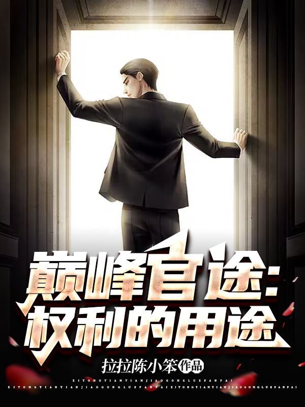 巔峰官途：權利的用途