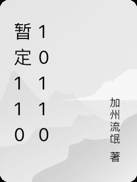暫定11010110