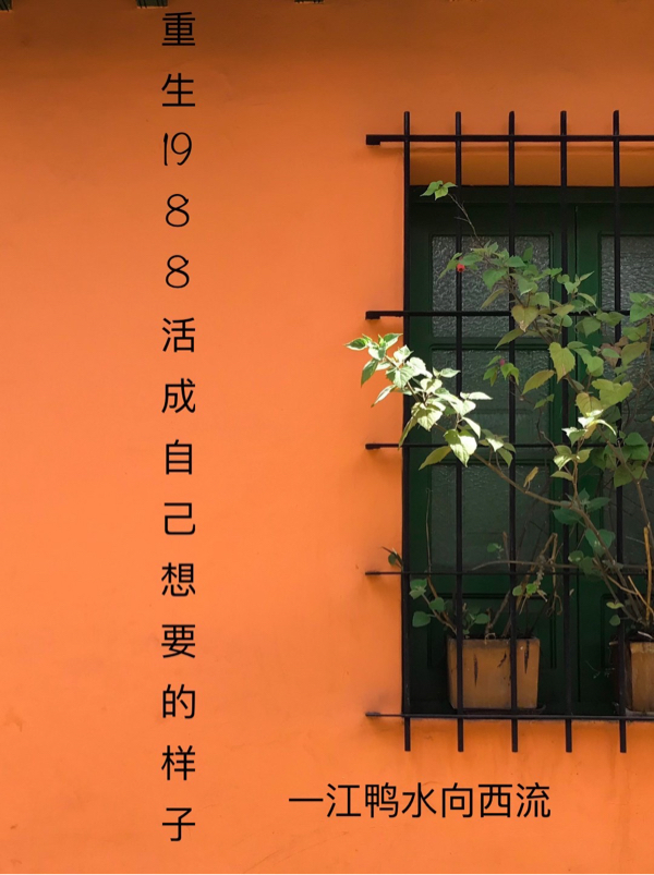 重生1988活成自己想要的的樣