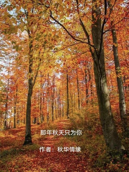 那年秋天隻為你