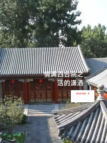 情滿四合院之活的瀟灑
