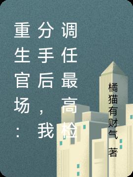 重生官場：分手後，我調任最高檢
