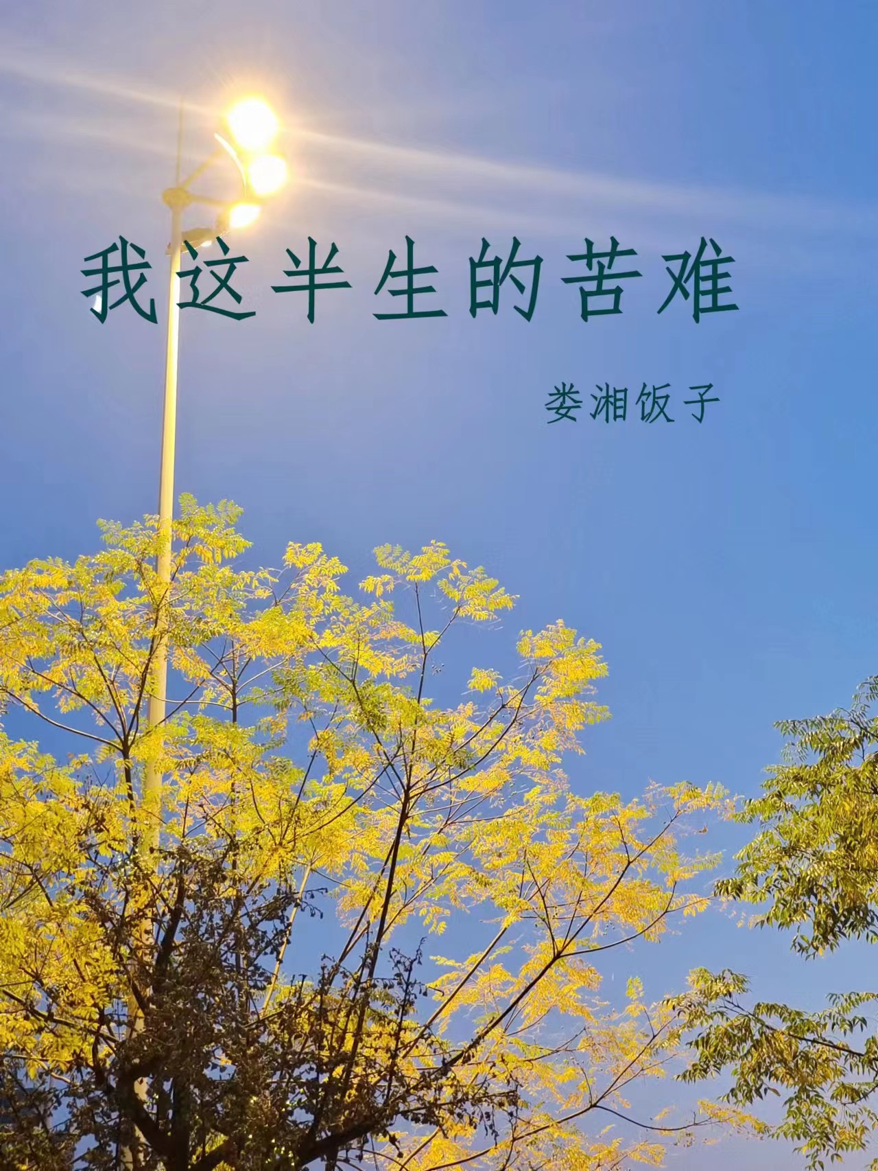 我這半生的苦難