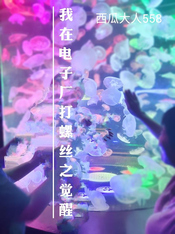 我在電子廠打螺絲之覺醒