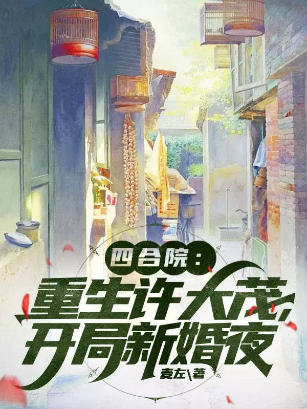 四合院：重生許大茂，開局新婚夜