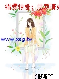 錯嫁驚婚：總裁請克製